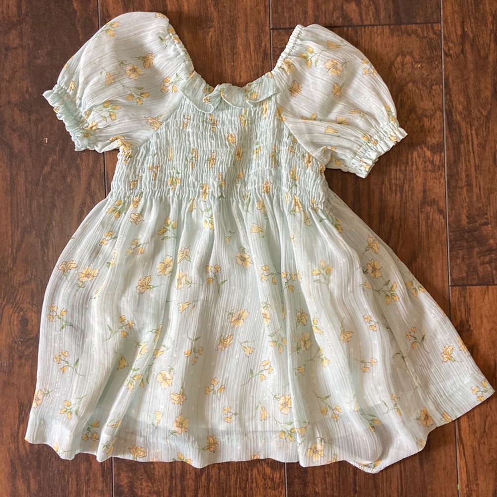 18-24 month Zara Dress